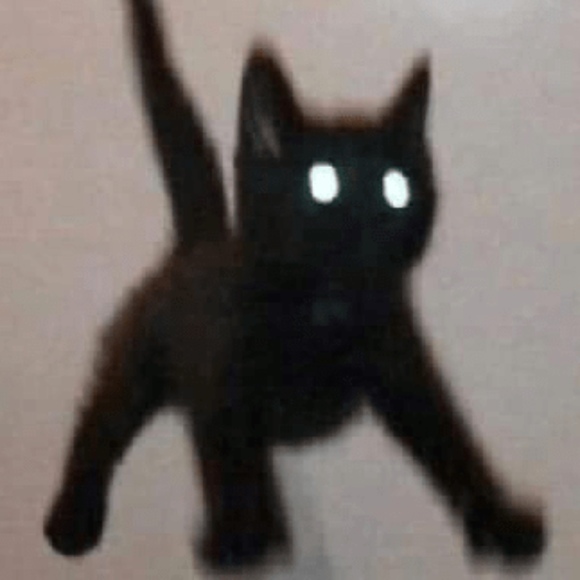 Meet your Posher, Maki - Picture 1 of 1